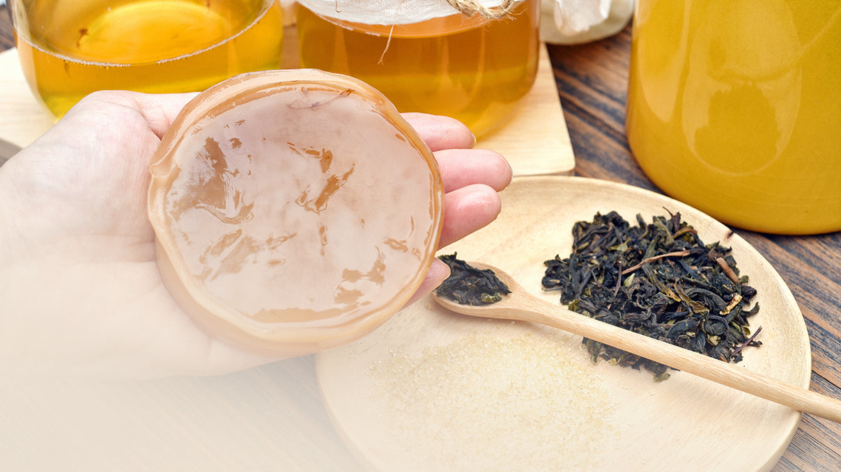 Kombucha Pilz liegt in Hand Holzteller loser Tee Glaeser mit Kombucha